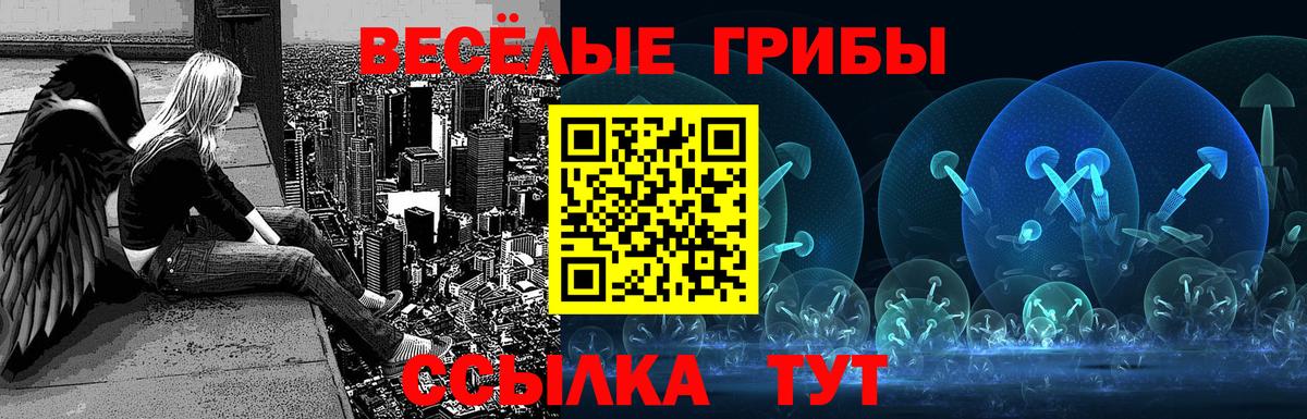 Псилоцибиновые грибы Psilocybine cubensis  Галлюциногенные грибы ЛСД  Мурино  Вход с VPN 